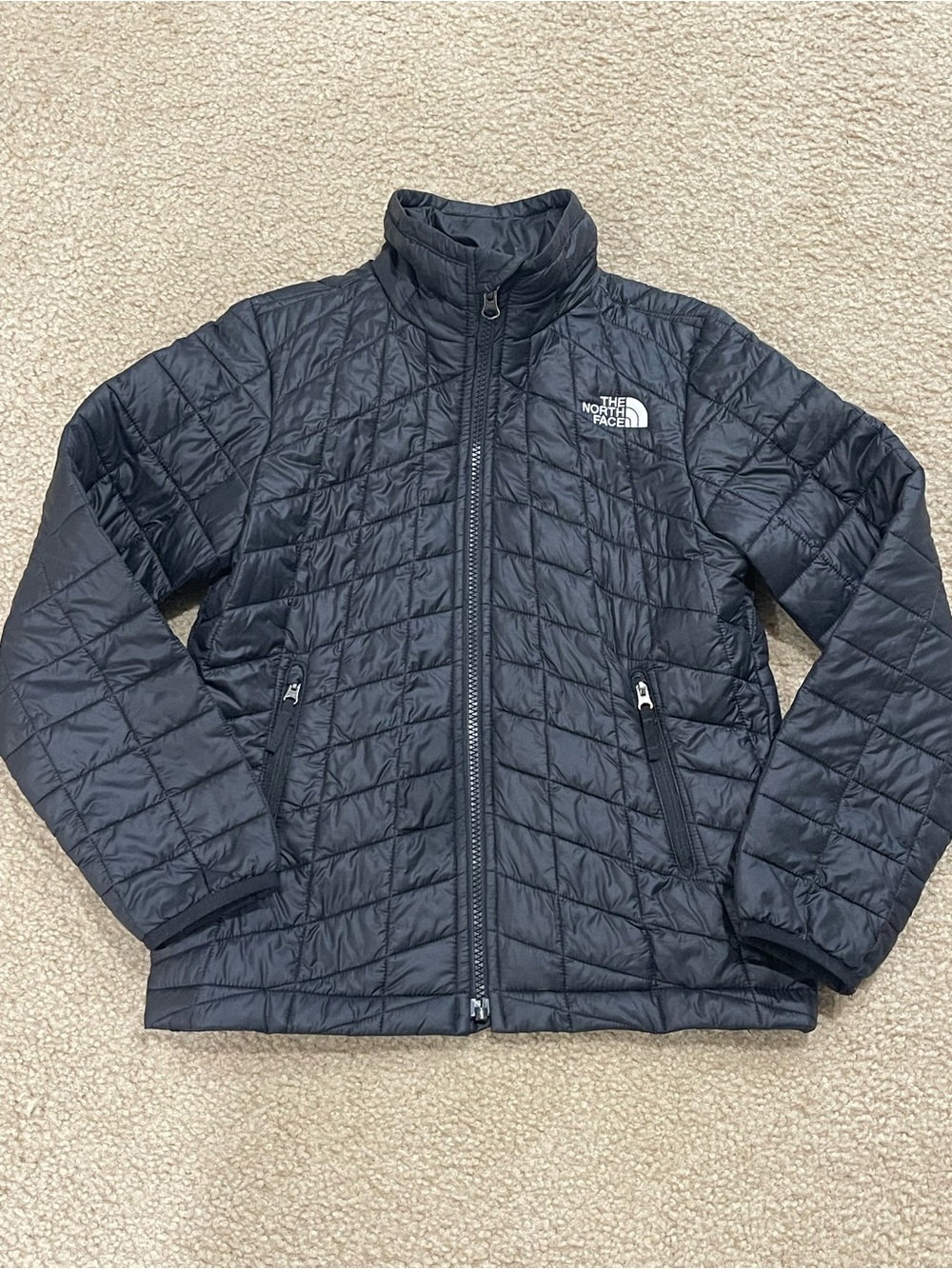 The North Face Black Quilted Insulated Jacket